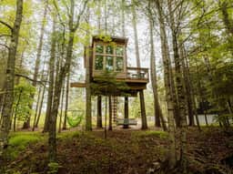 Baumhaus Cabin and Treehouse - Image 2