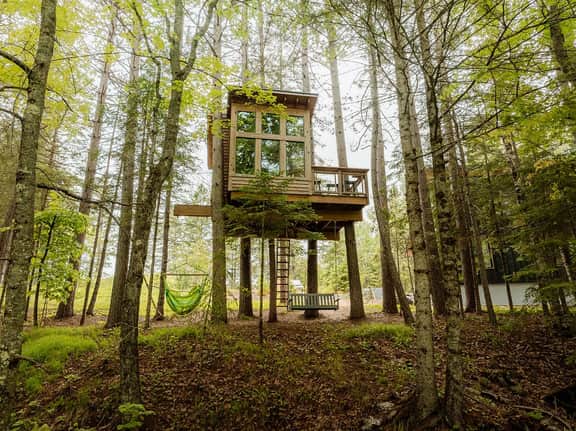 Baumhaus Cabin and Treehouse - Image 2